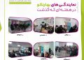 از نمایندگی‌های بهارنکو چه خبر؟